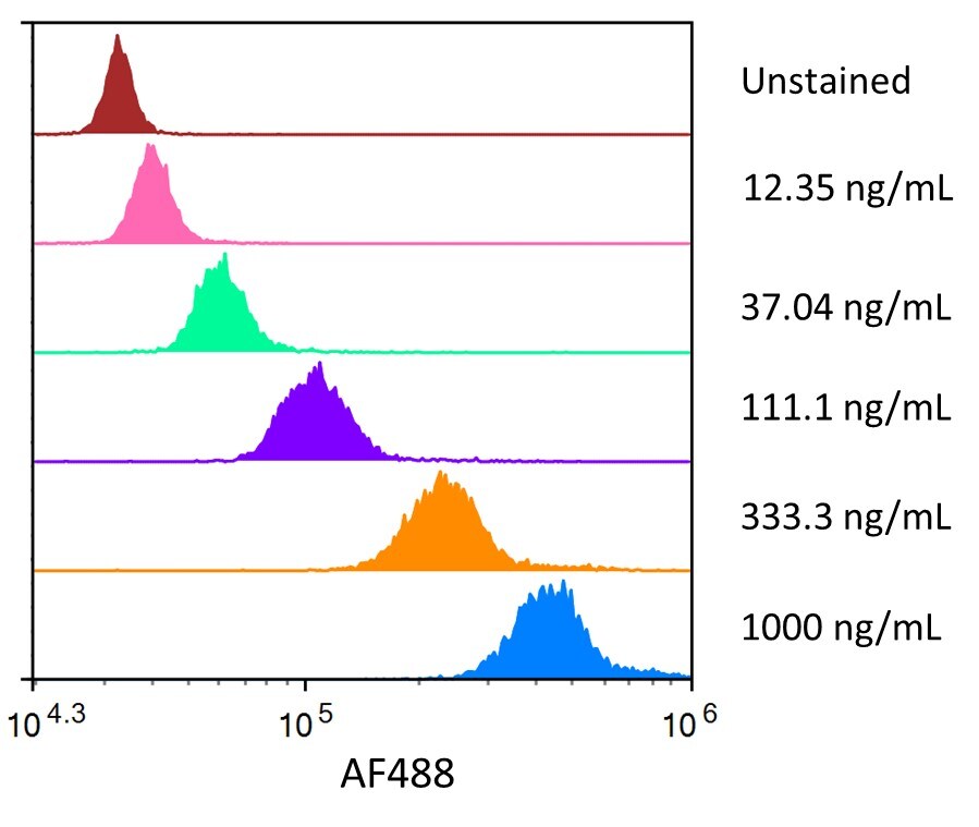 Streptavidin coated beads conjugated to biotinylated anti-Human BCMA/TNFRSF17 Monoclonal Antibody were stained with the indicated concentrations of Recombinant Human BCMA/TNFRSF17 Fc Chimera Alexa Fluor® 488.